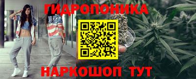 кокс Гай