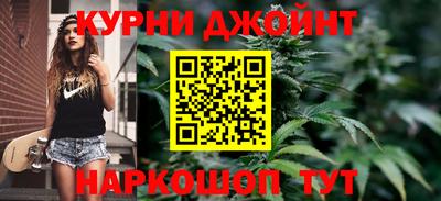 гидра Гагарин