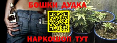 кокс Гай