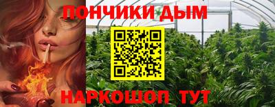 кокс Гай