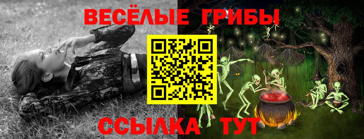 Псилоцибиновые грибы Cubensis Азов